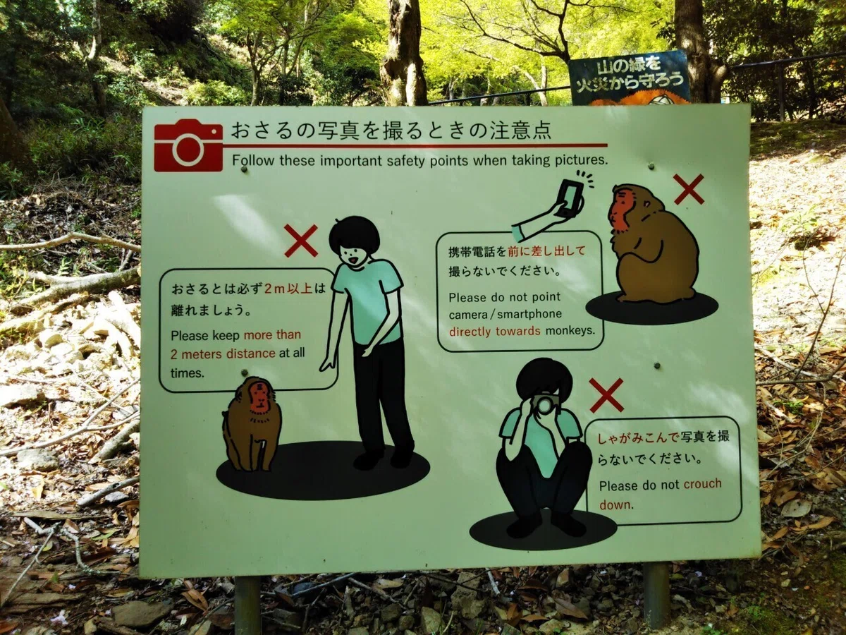 画像12