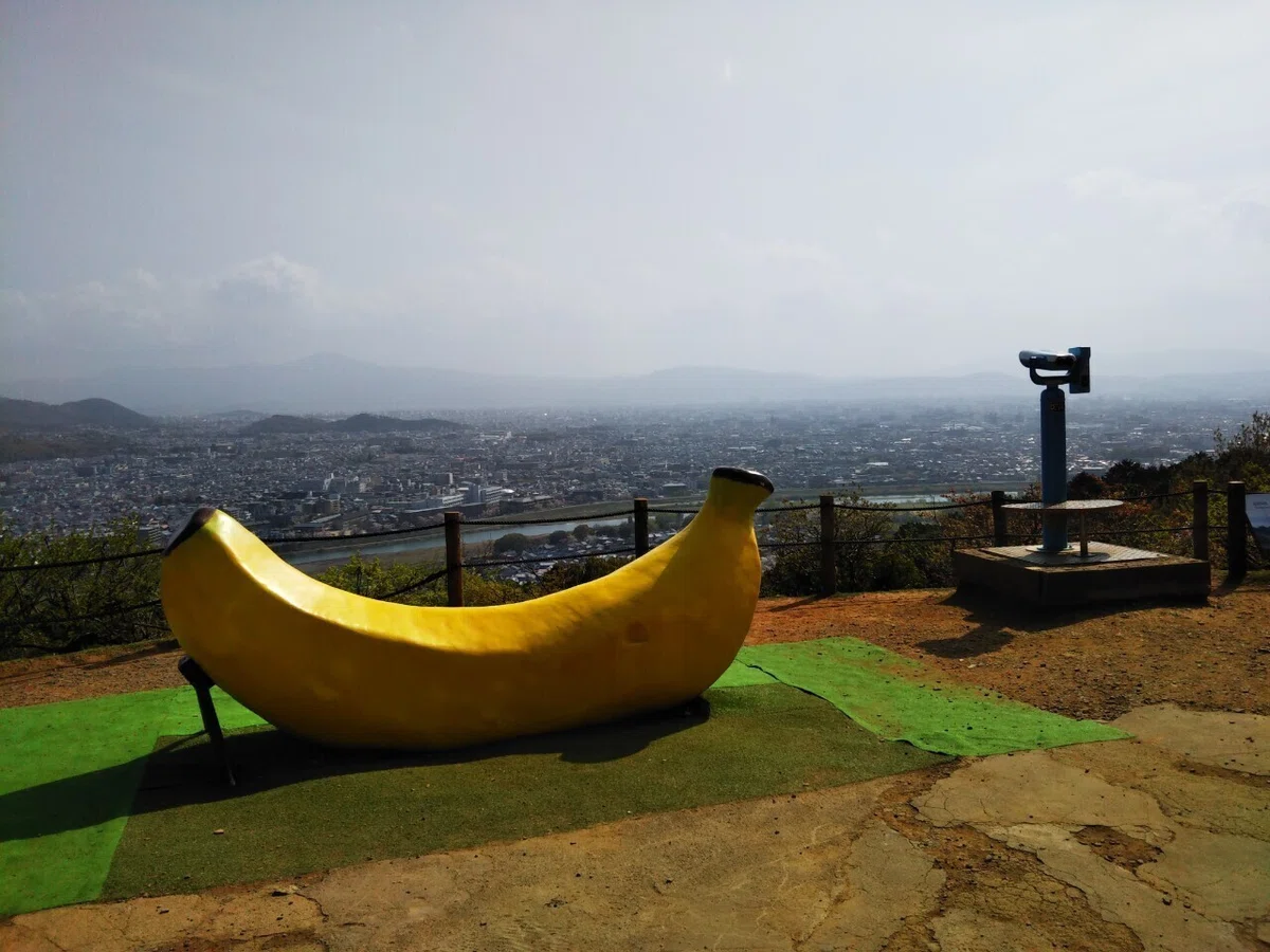 画像13