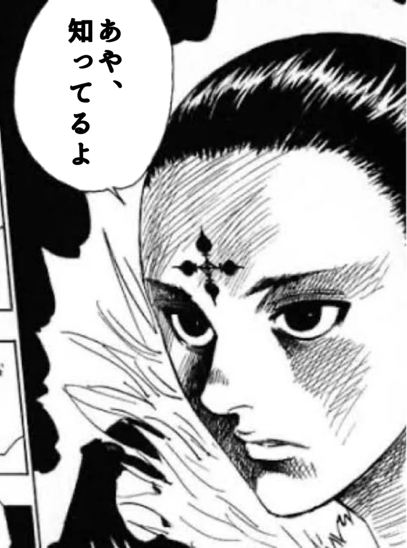 アンジュルム 幻影旅団 説 dicek Note