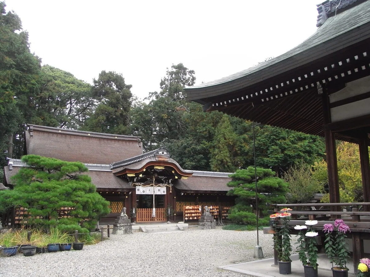 画像5