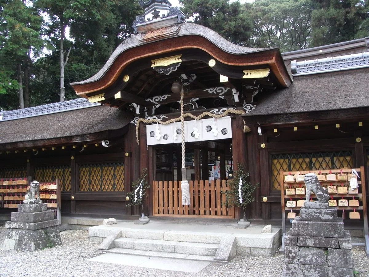 画像7