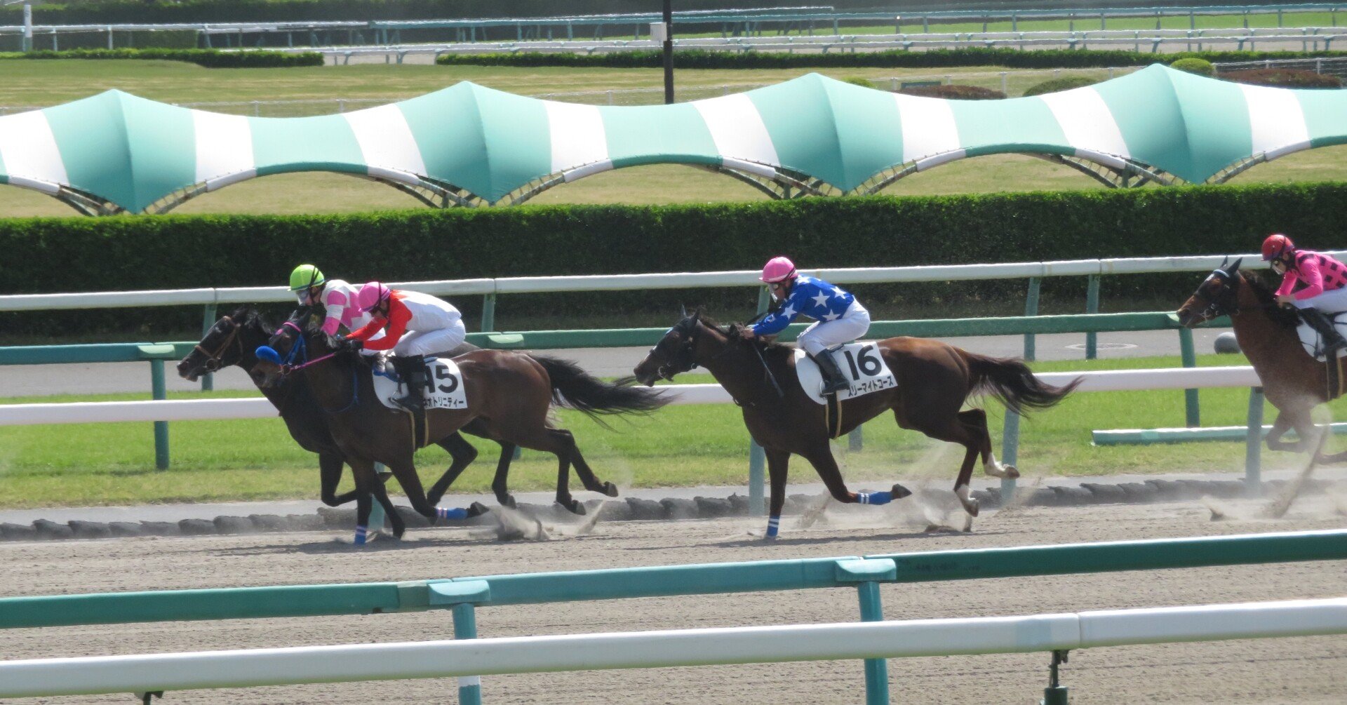 距離短縮VS.距離延長、中山で買うなら～ダート～｜勝木 淳