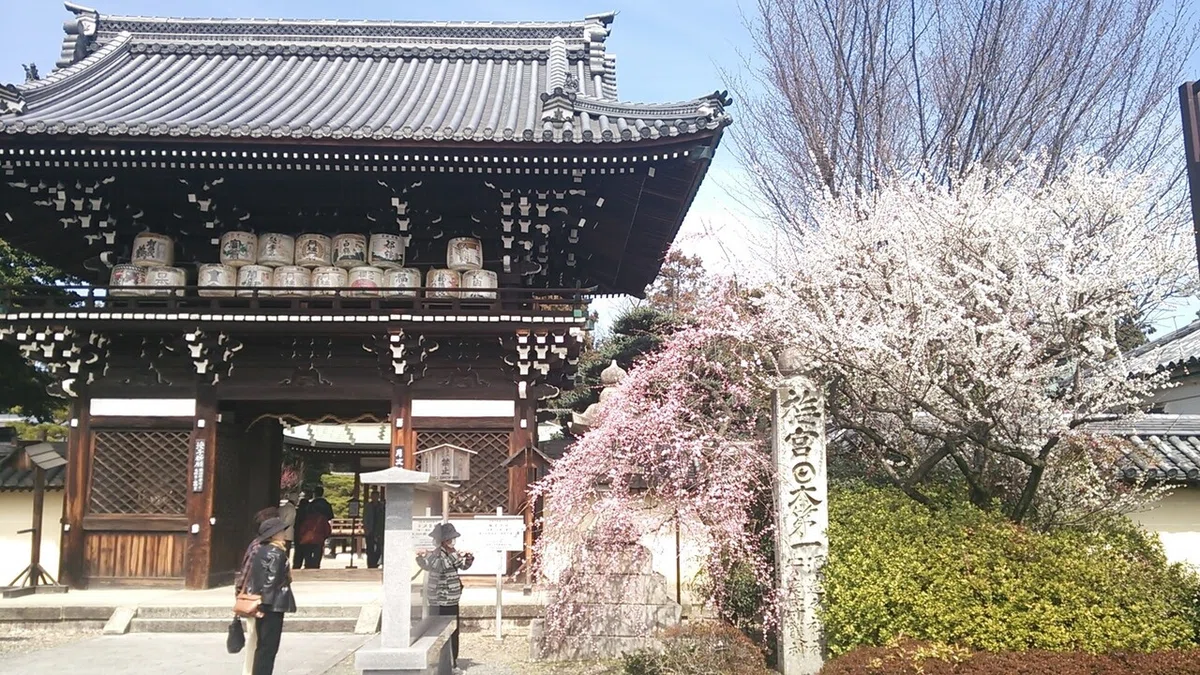 画像9