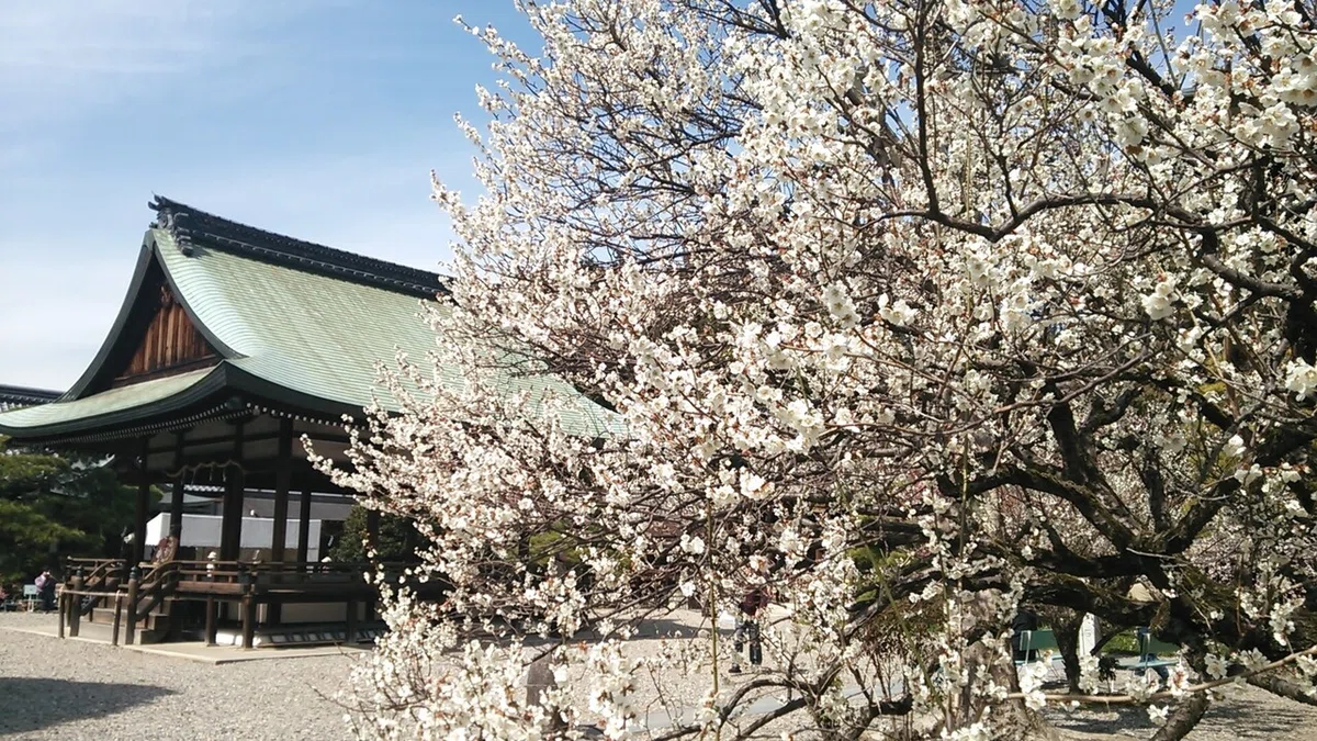 画像12
