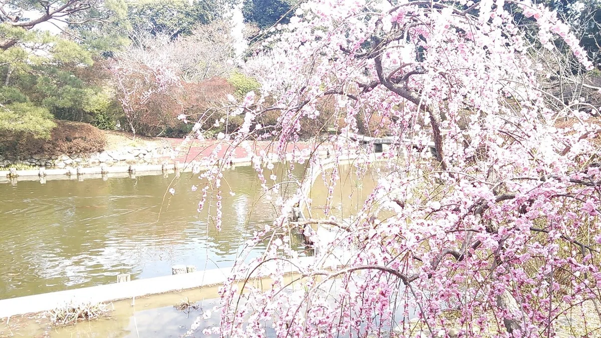 画像13