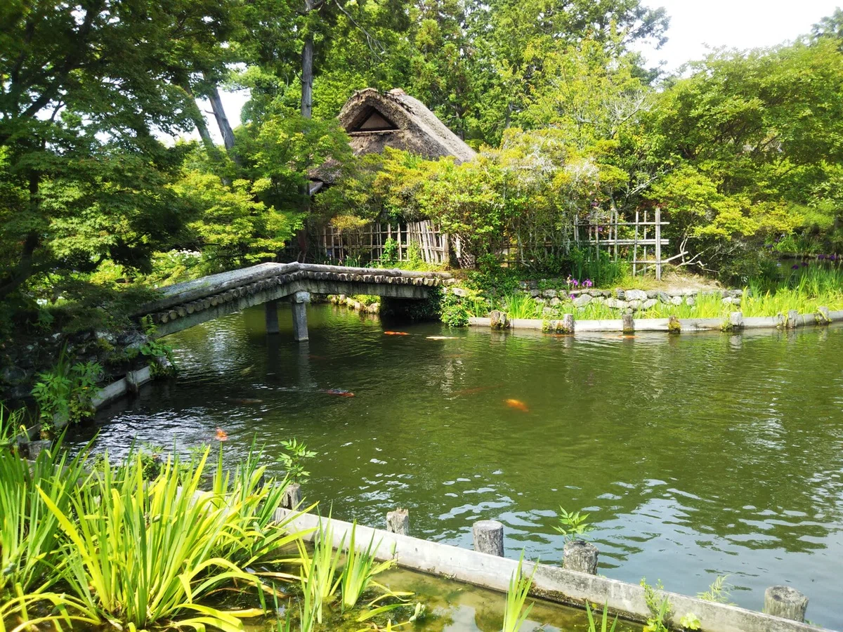 画像15