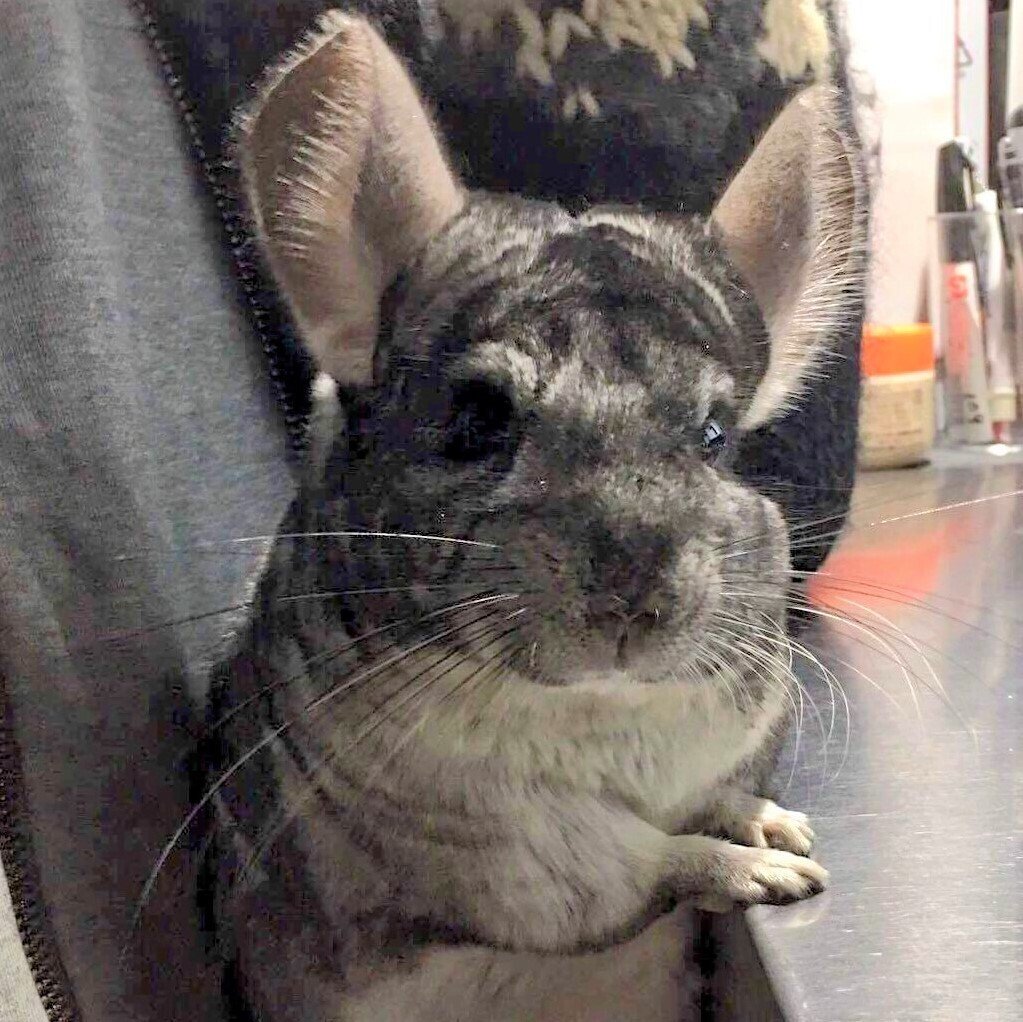 32x32ピクセル1色のドット絵に苦労した話｜マサカツ / 渡辺 雅勝