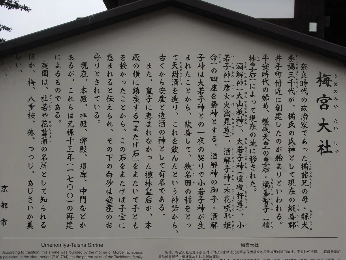 画像22