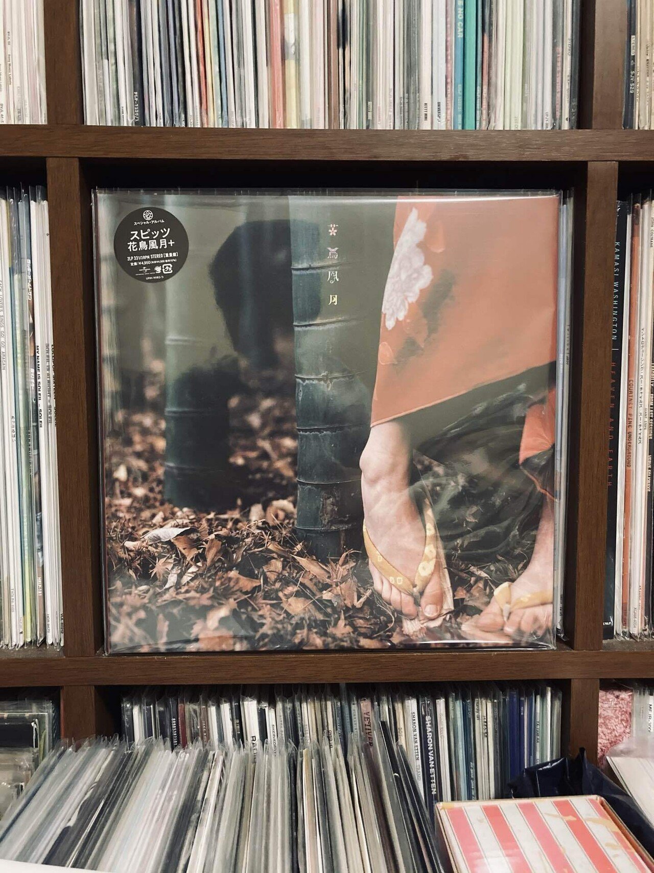 花鳥風月｜歯車