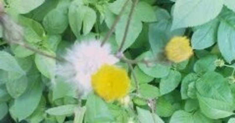 自己陶酔 の新着タグ記事一覧 Note つくる つながる とどける