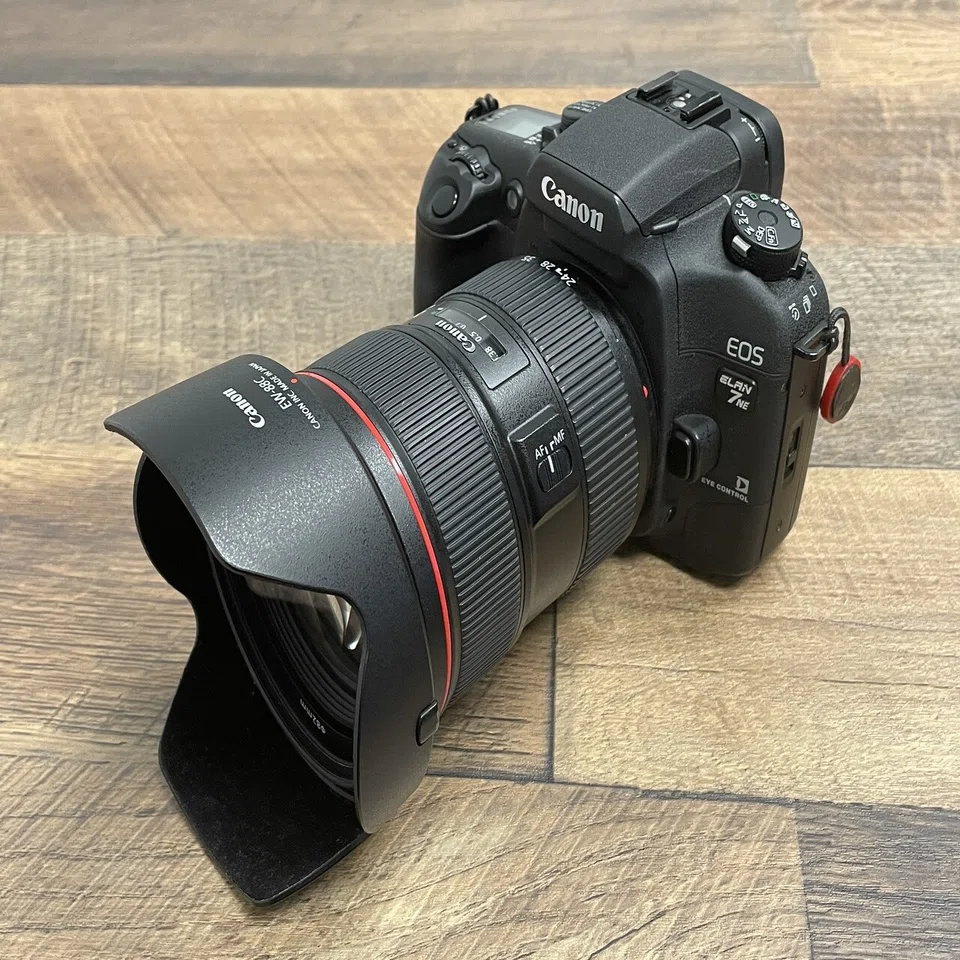 復活の視線入力AF、 EOS R3｜MOJA MOJA