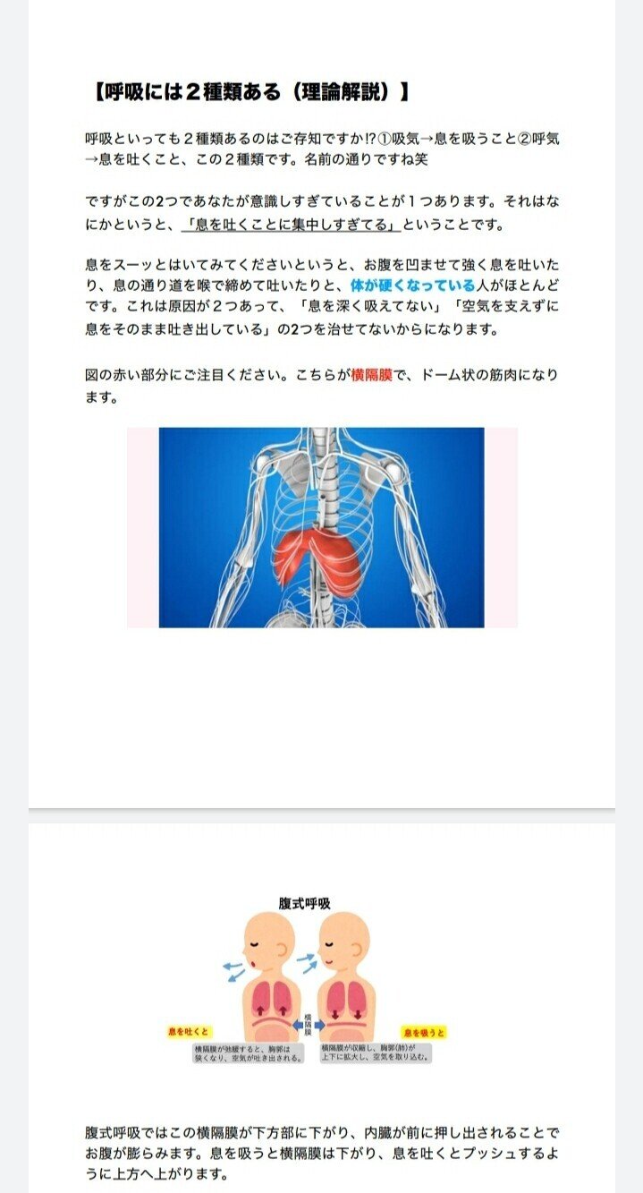 輪状甲状筋vs甲状舌骨筋 あなたのミドルボイス 正しく出せていますか イチ Ichi 低音男子こそ努力すれば輝ける Note 輪状甲状筋vs甲状舌骨筋 あなたのミドルボイス 正しく出せていますか イチ Ichi 低音男子こそ努力すれば輝ける Note