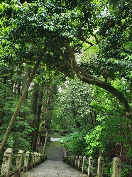 画像5