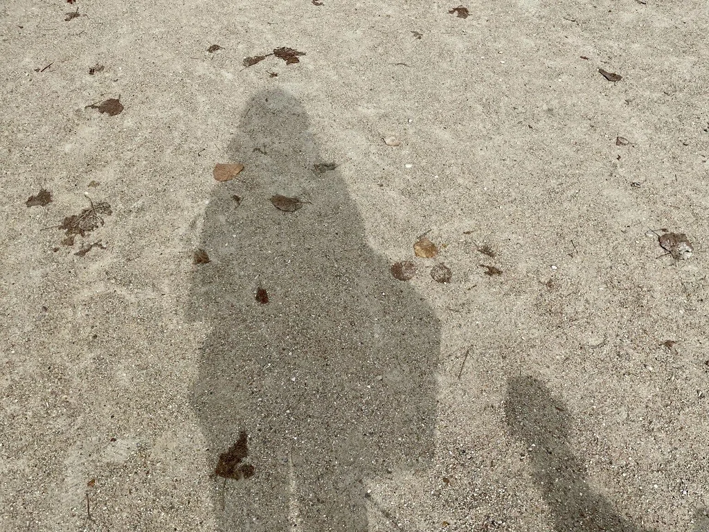 画像18