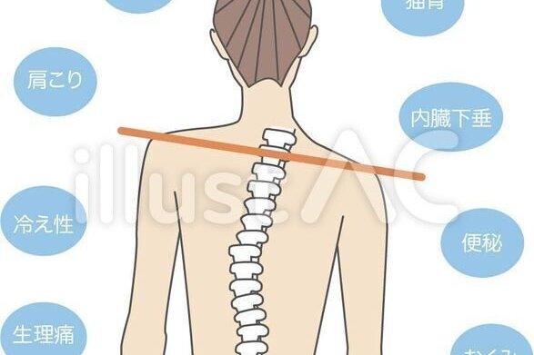 体の不調は歪みから の新着タグ記事一覧 Note つくる つながる とどける 体の不調は歪みから の新着タグ記事一覧 Note つくる つながる とどける