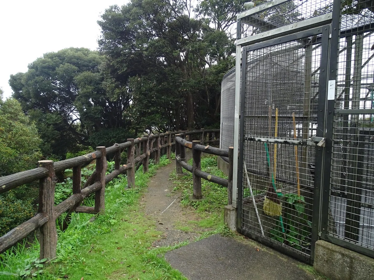 画像55