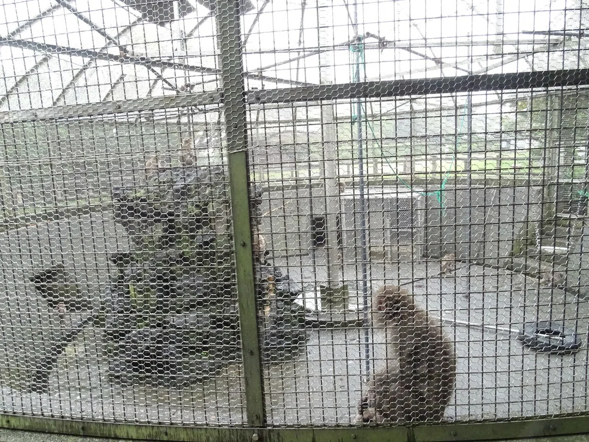画像58