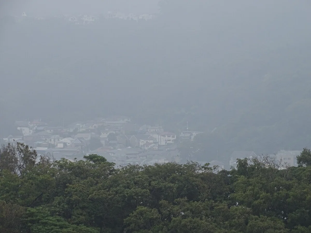 画像65