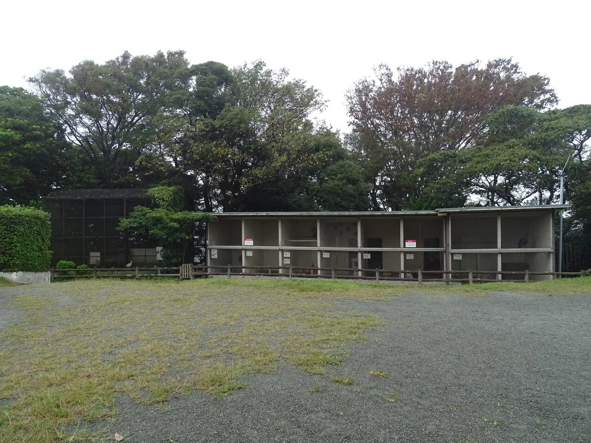 画像67
