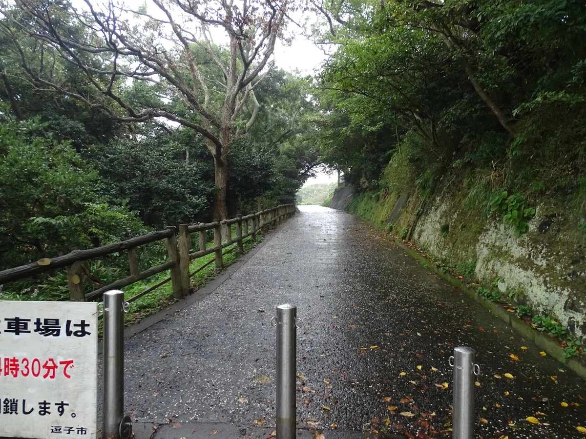 画像75