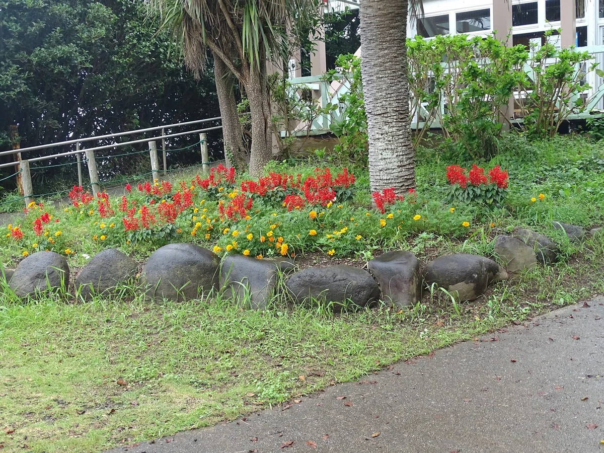 画像77