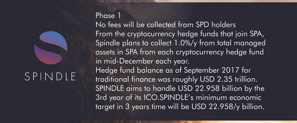 Spindle Individual Investors Note