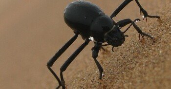 354ec0ebe7b19829fd7f4f167fd72f