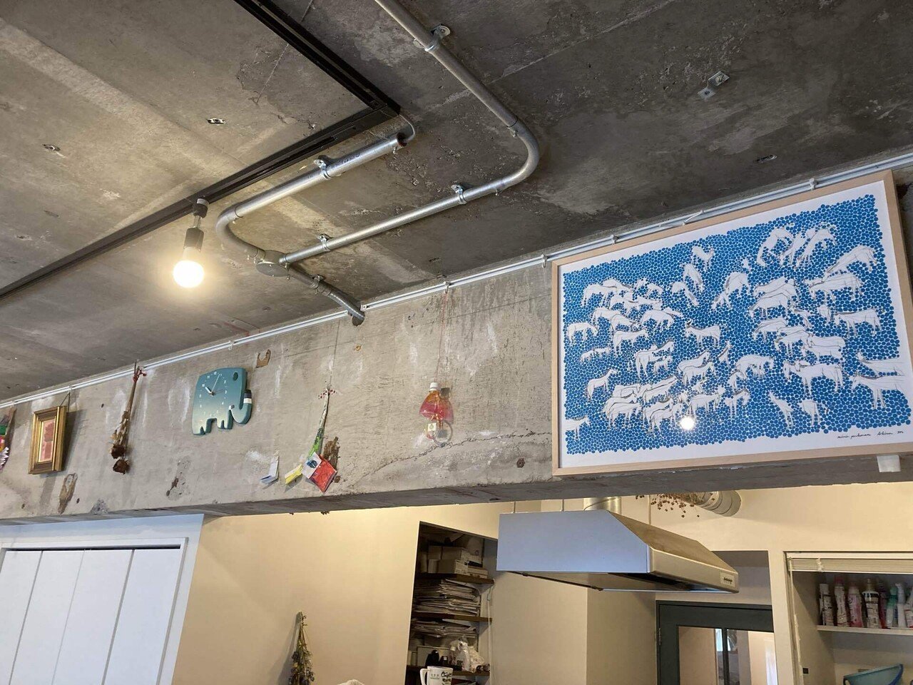 今だと思ったら今なんだ！oasisがやってきた！｜坂口佳世｜ぐっち