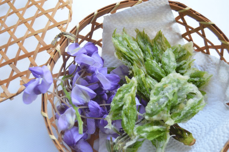 鬼滅の刃 のキーワード 藤の花 について 鬼舞辻無惨は藤原氏の一族 鬼滅のりっぺちゃん Note 鬼滅の刃 のキーワード 藤の花 について 鬼舞辻無惨は藤原氏の一族 鬼滅のりっぺちゃん Note