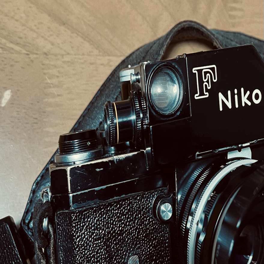 突然ですが、｜ぱんだ226