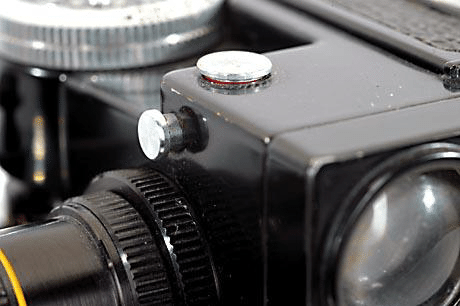 突然ですが、｜ぱんだ226