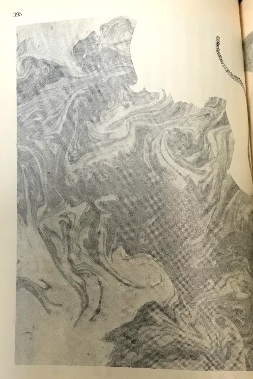 画像13