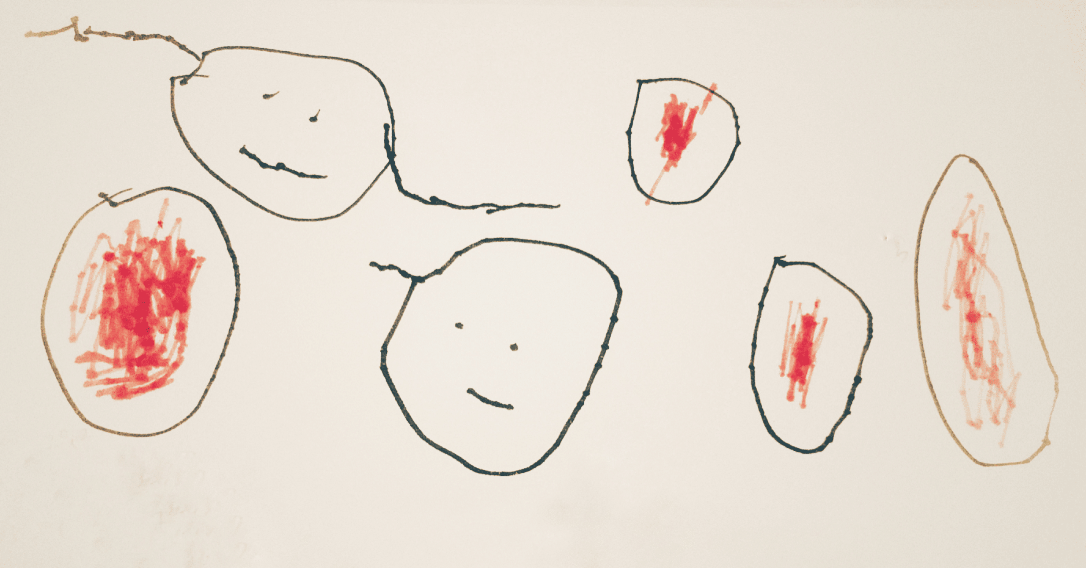 はじめて “お顔の絵” を描いた5歳娘の秋｜藍 / aibon