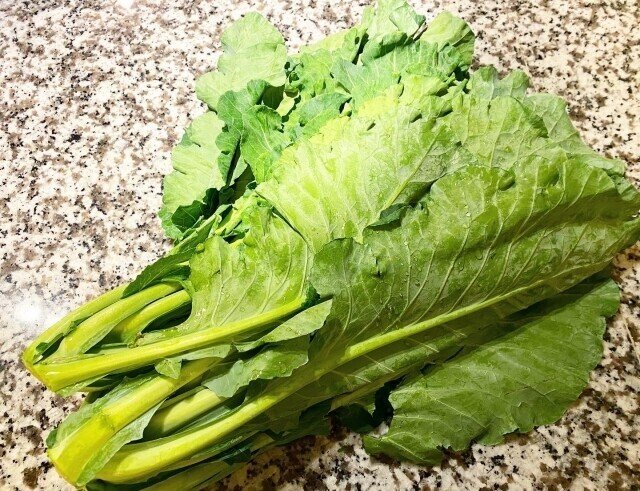 週末投稿 つれづれ有用植物 102 アブラナ科アブラナ属 ヤセイカンラン Pingubanana Note