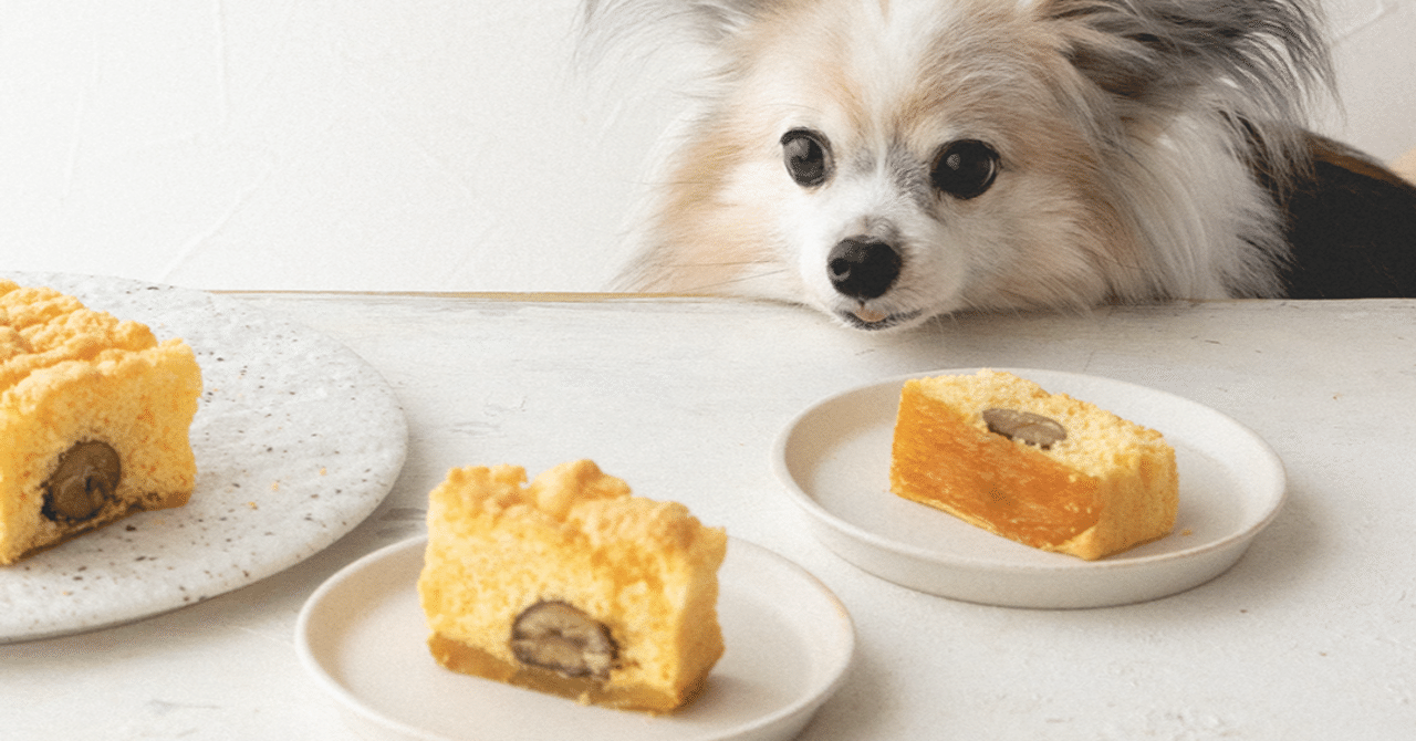干し芋と甘栗の米粉パウンドケーキ 手作り犬おやつレシピ 犬ごはん先生いちかわあやこ Official Web Site