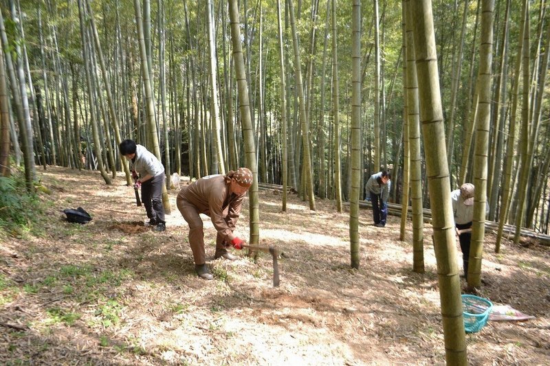 ろうきん森の学校とはイメージ (6)