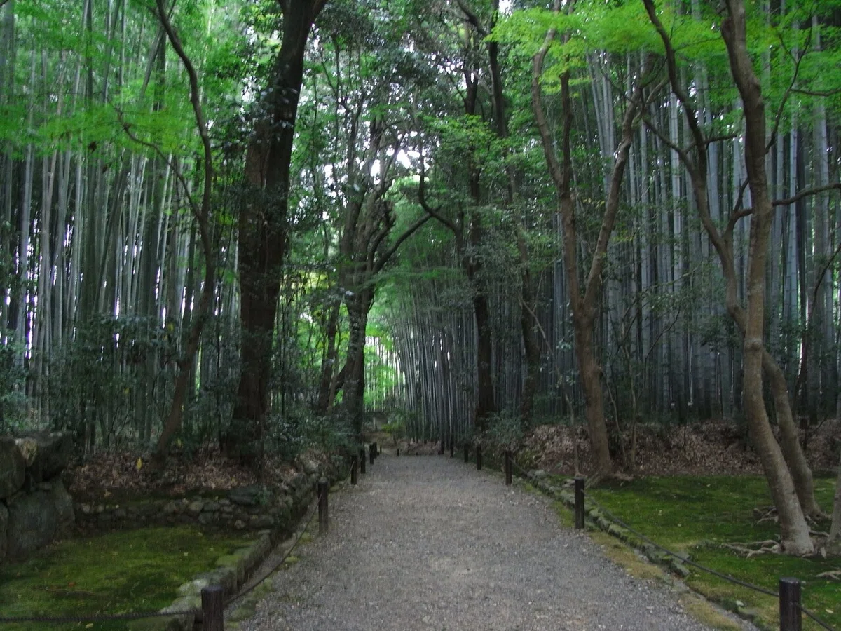 画像8