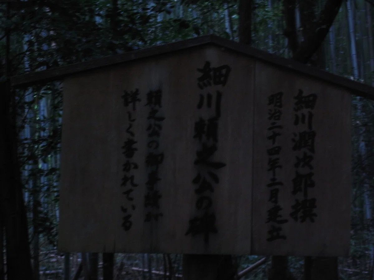画像12