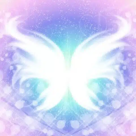 yukiangel