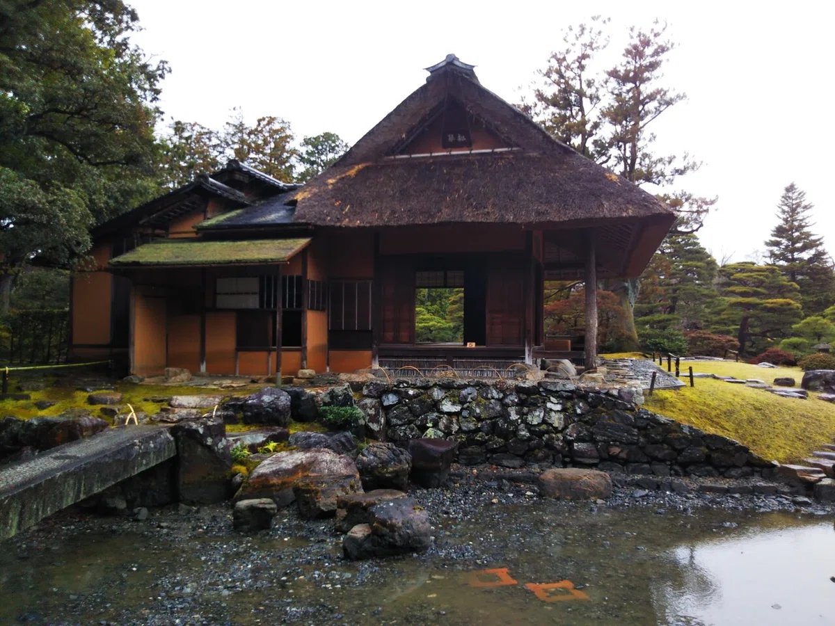 画像7