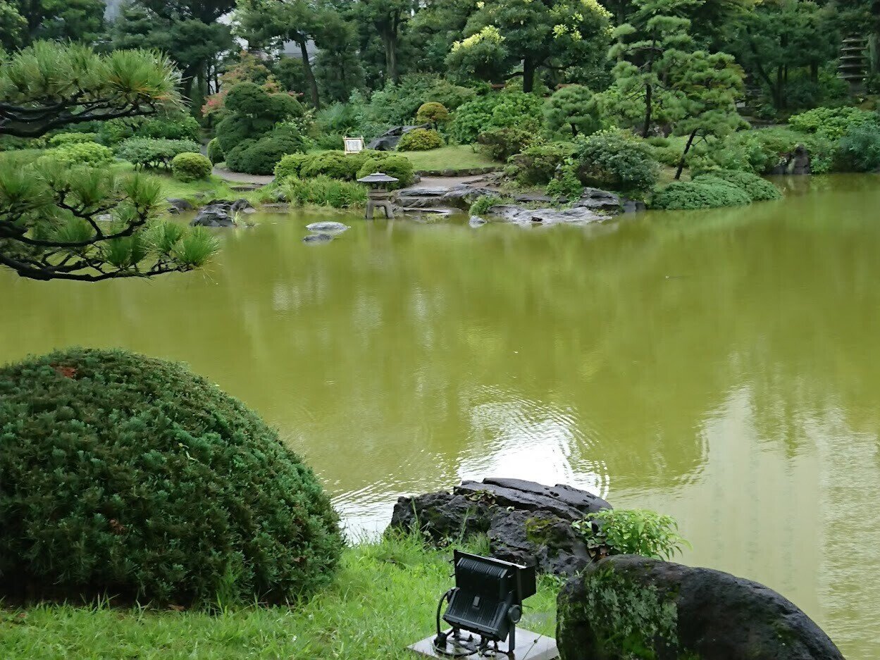 今日は 墨田区無料健康診査 の為 雨の中湘南メディカル記念病院へ 雨が小降りになったので 旧安田庭園をちょっと覗き見 夏場はたくさんの亀が甲羅干しをしているが 今日は池の向こうにある石の上に一匹だけ 高林夕子 Note