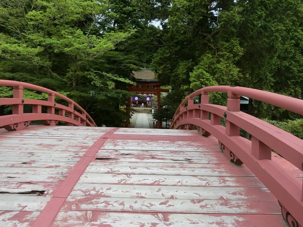 画像18