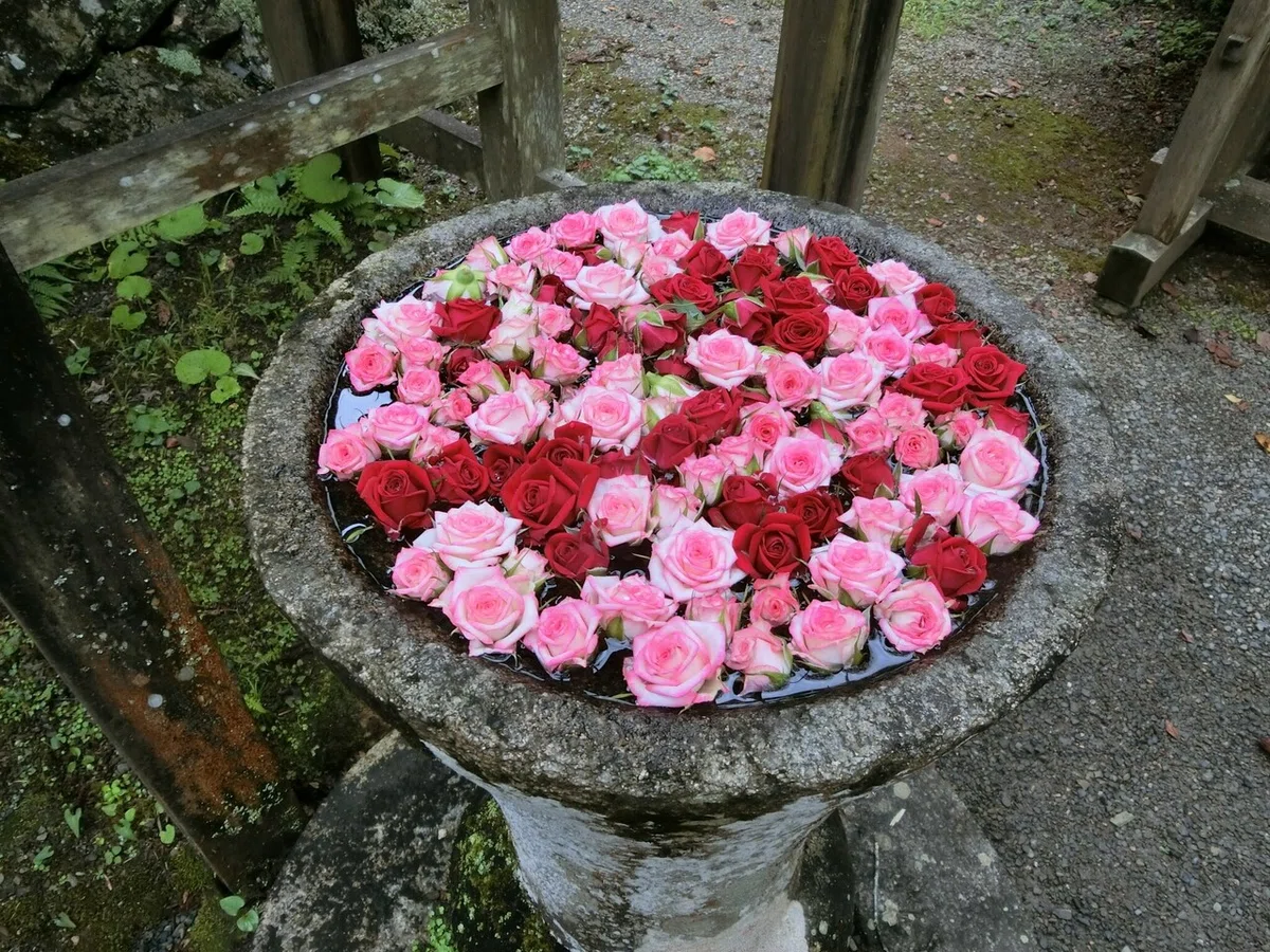 画像24