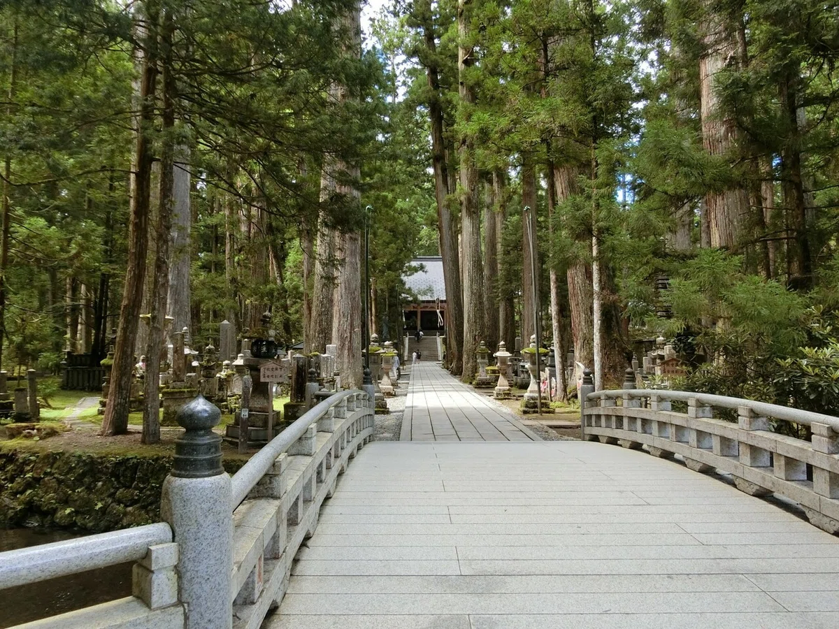画像55