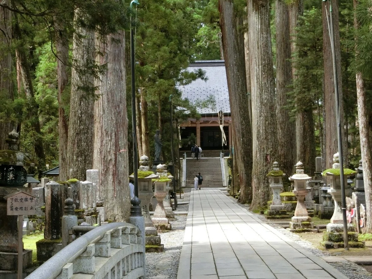 画像56
