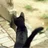 がんぎ