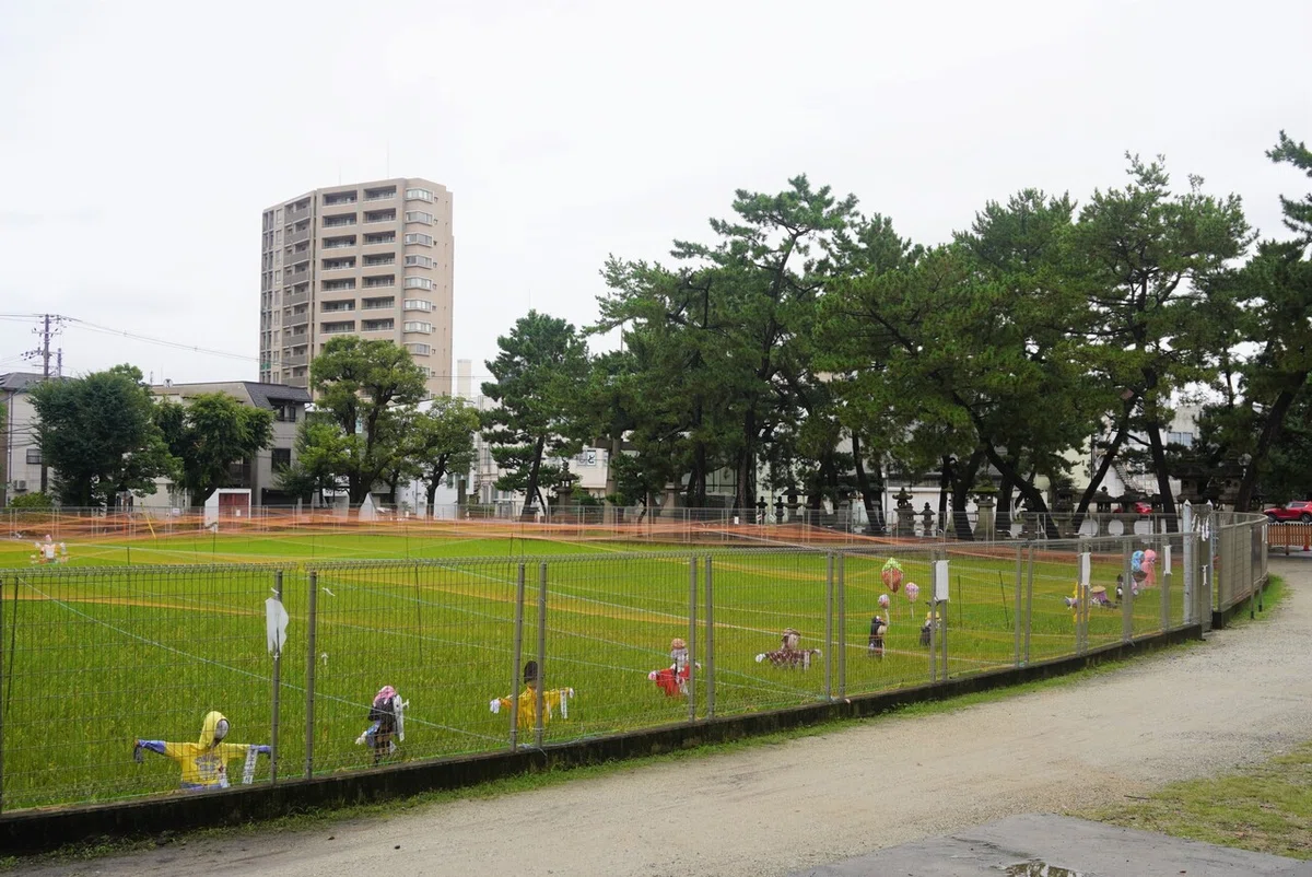 ☆正面2021-09-18_08.29.08