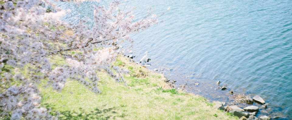 一人暮らしは寂しい 初めての一人暮らし Kz Note