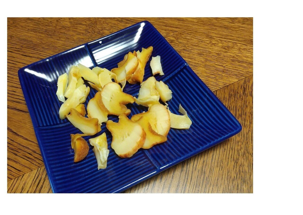 ほら貝を調理して食べた話@宮崎県|山中はるな ほら貝を調理して食べた話@宮崎県|山中はるな