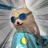 daisycutter7